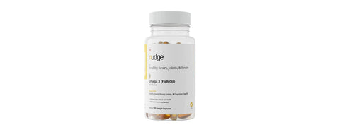 Understanding the Role of Omega-3 Fish Oil in Brain Functioning