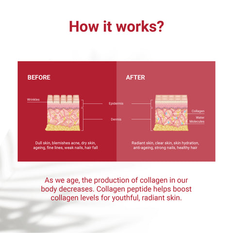 Collagen Peptide Powder